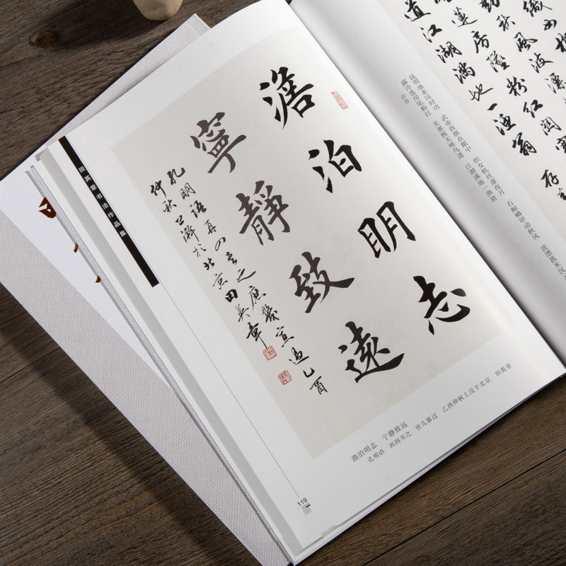 Ouyang Xun 브러시 서예 카피 북 Tian Yi - Chinese Calligraphy Practice Book 리뷰 및 가격