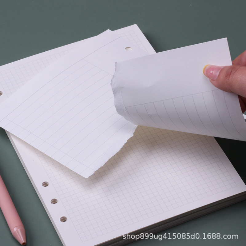 A5 사이즈의 속지 교체형 스프링 바인더, 주간/월간  - A5 Spiral Dotted Grid Notebook 리뷰 및 가격